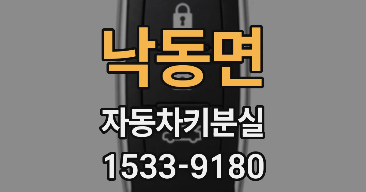 낙동면 자동차키분실