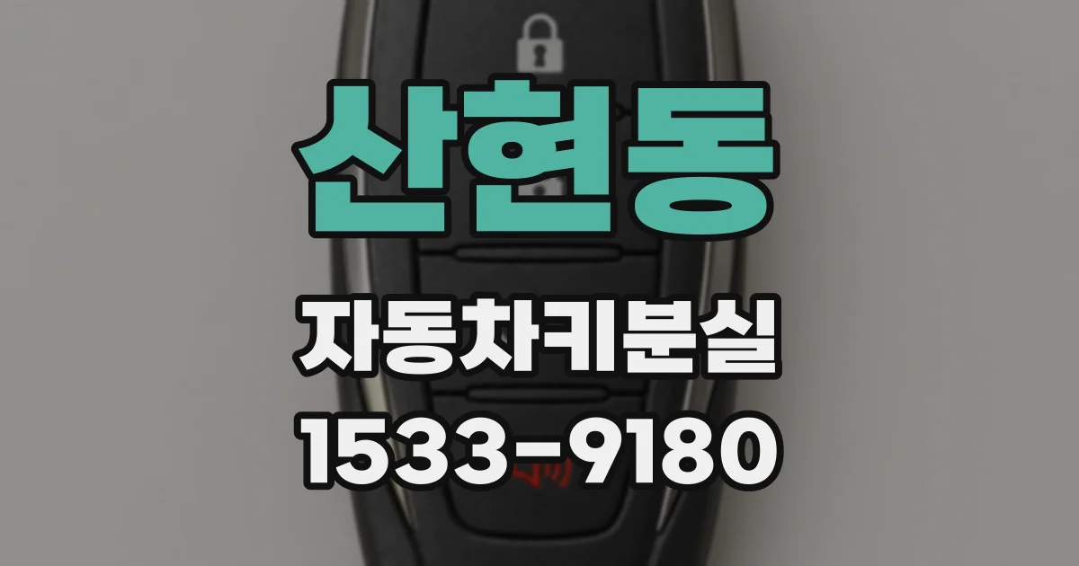 산현동 자동차키분실