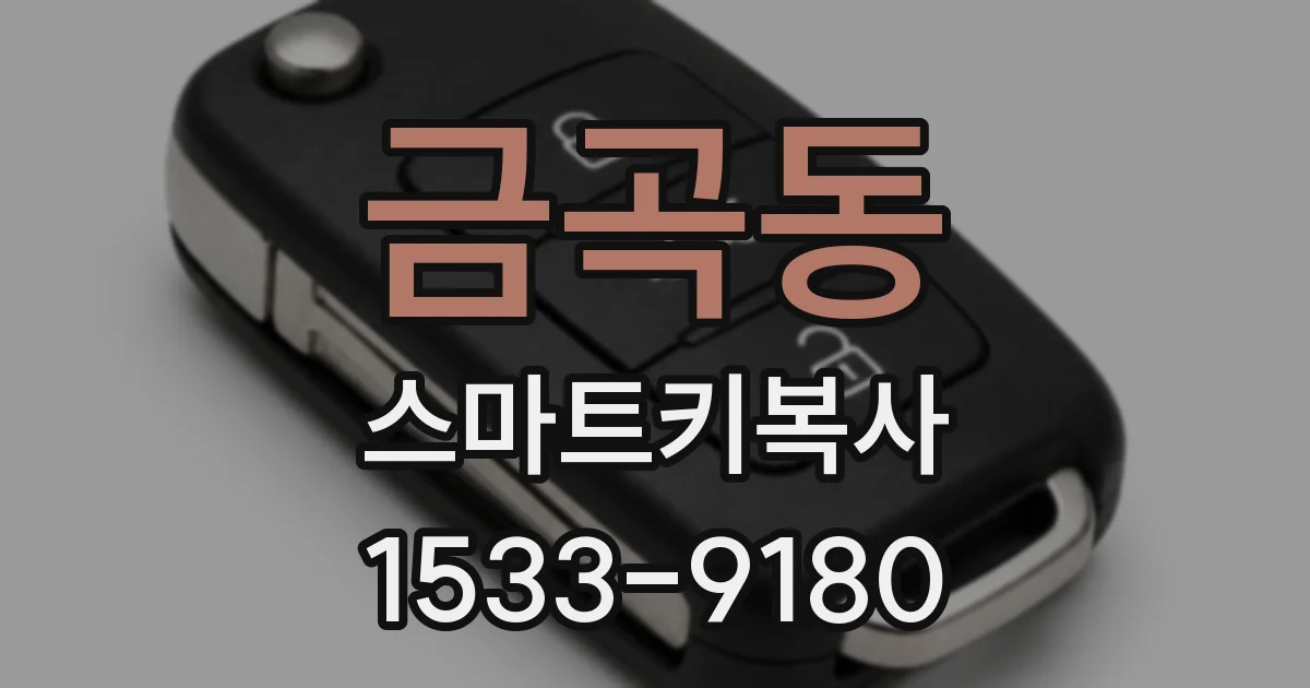 금곡동 스마트키복사