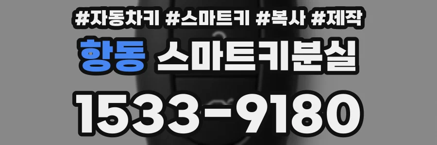 항동 스마트키분실