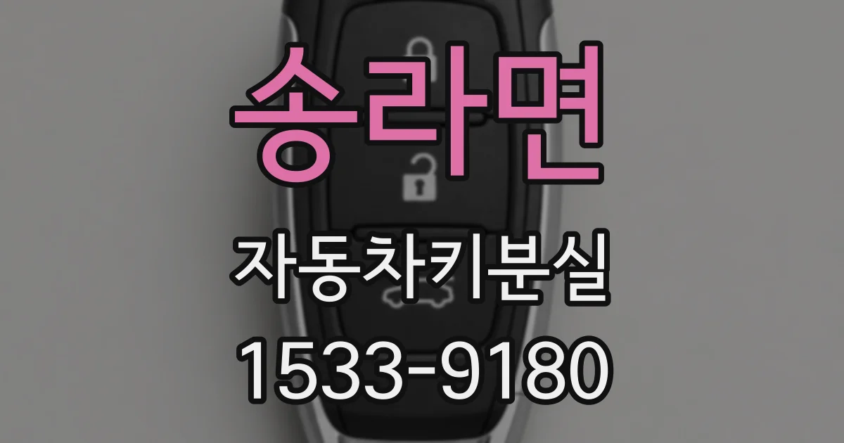 송라면 자동차키분실
