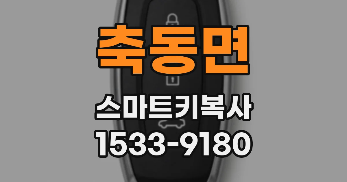 축동면 스마트키복사