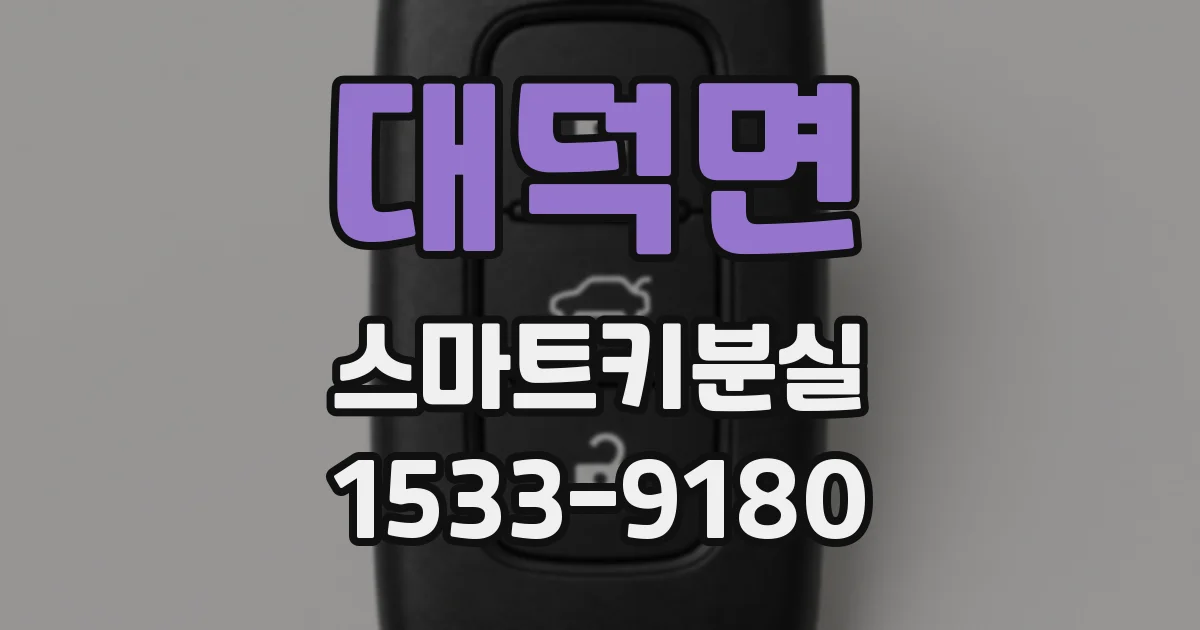 대덕면 스마트키분실