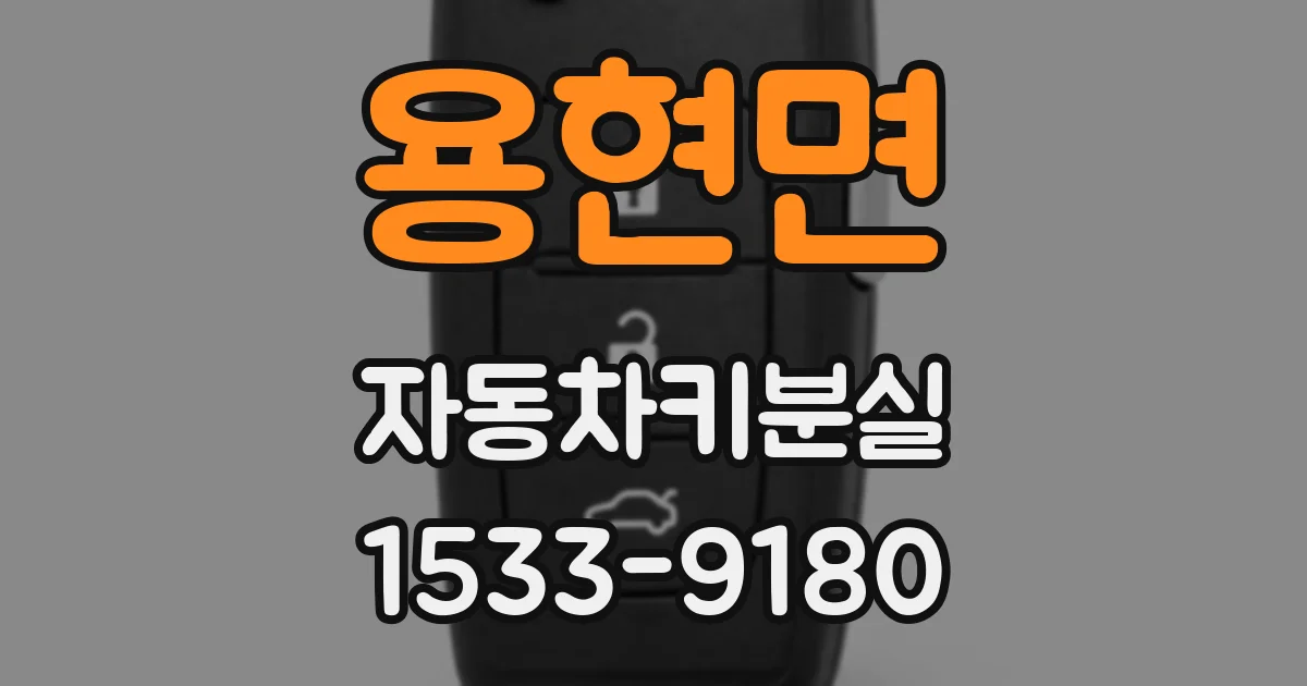 용현면 자동차키분실