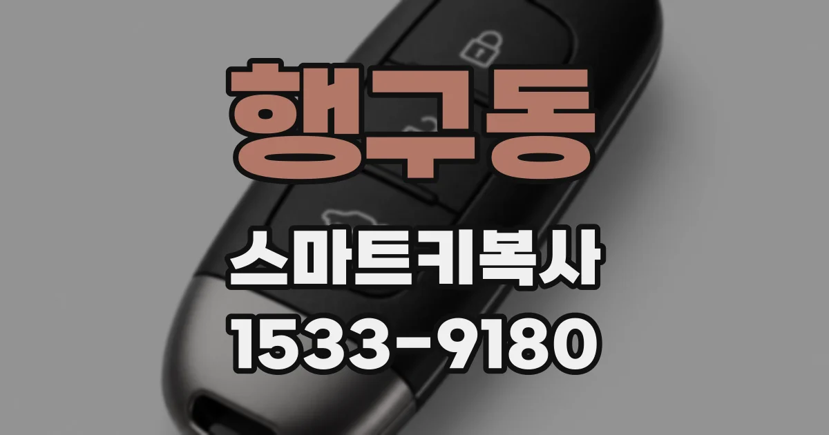 행구동 스마트키복사