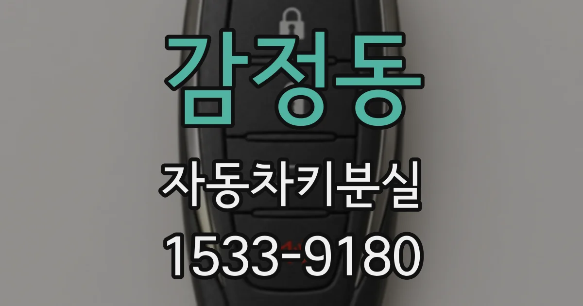 감정동 자동차키분실