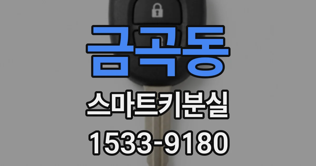 금곡동 스마트키분실
