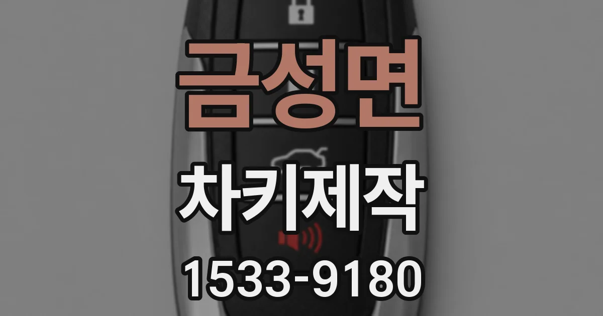 금성면 차키제작
