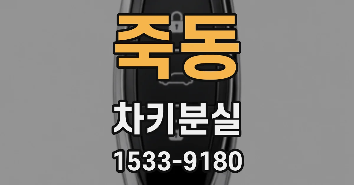 죽동 차키분실