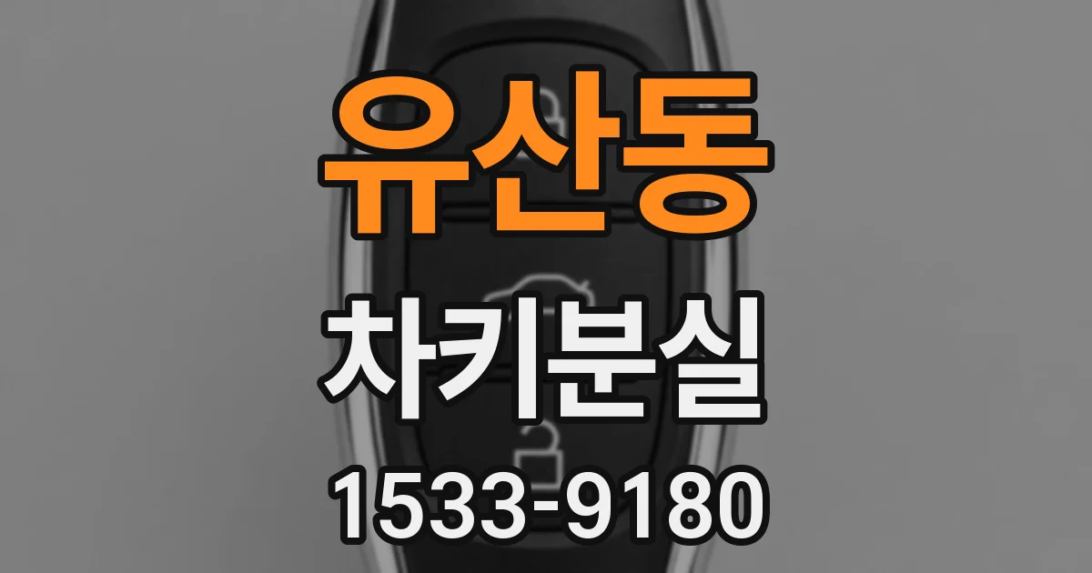 유산동 차키분실