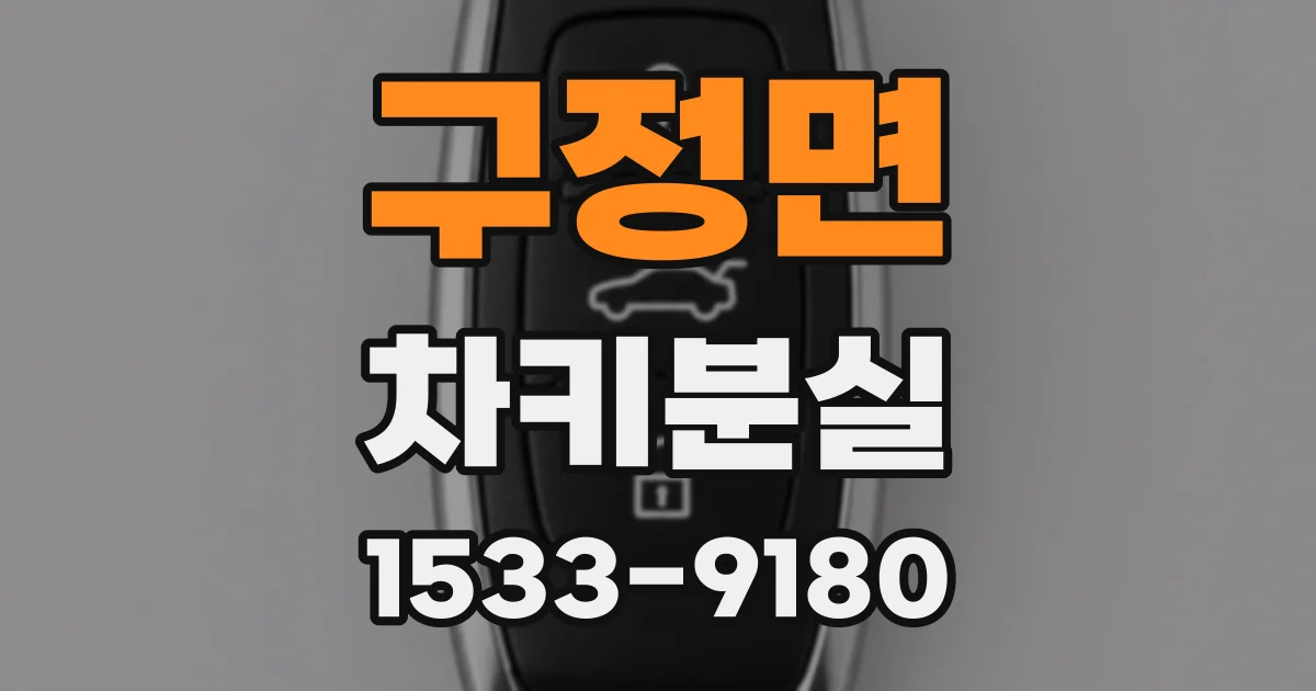 구정면 차키분실