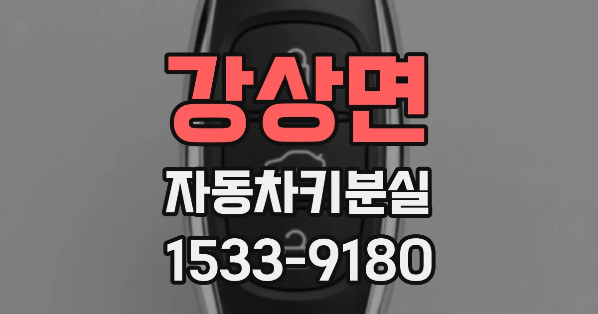 강상면 자동차키분실