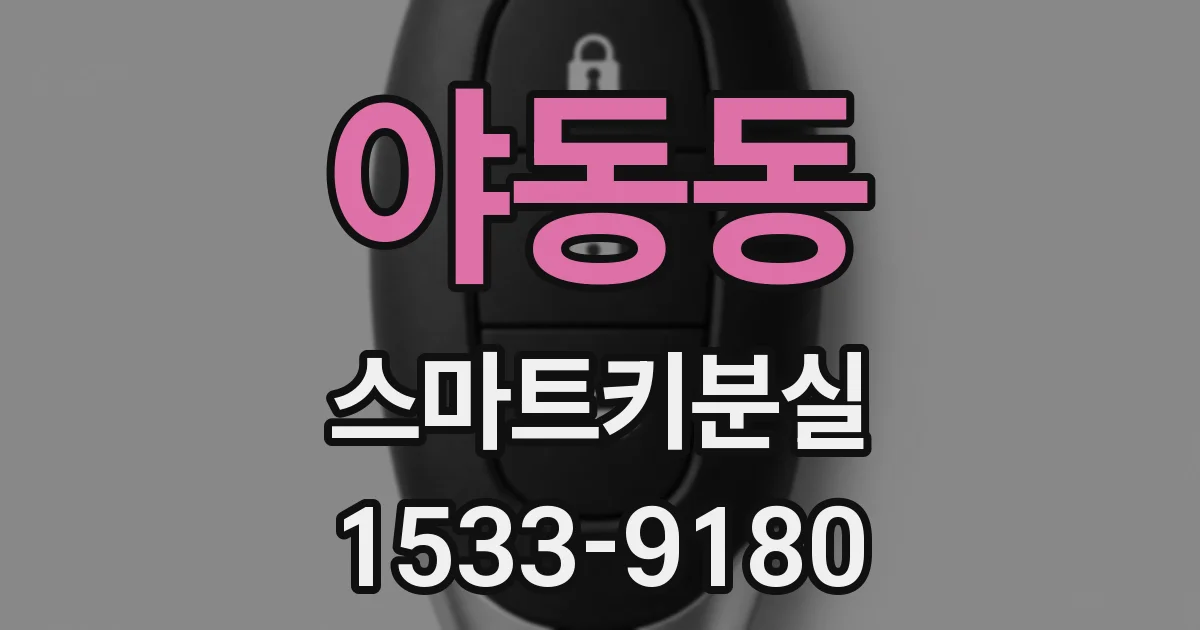 야동동 스마트키분실