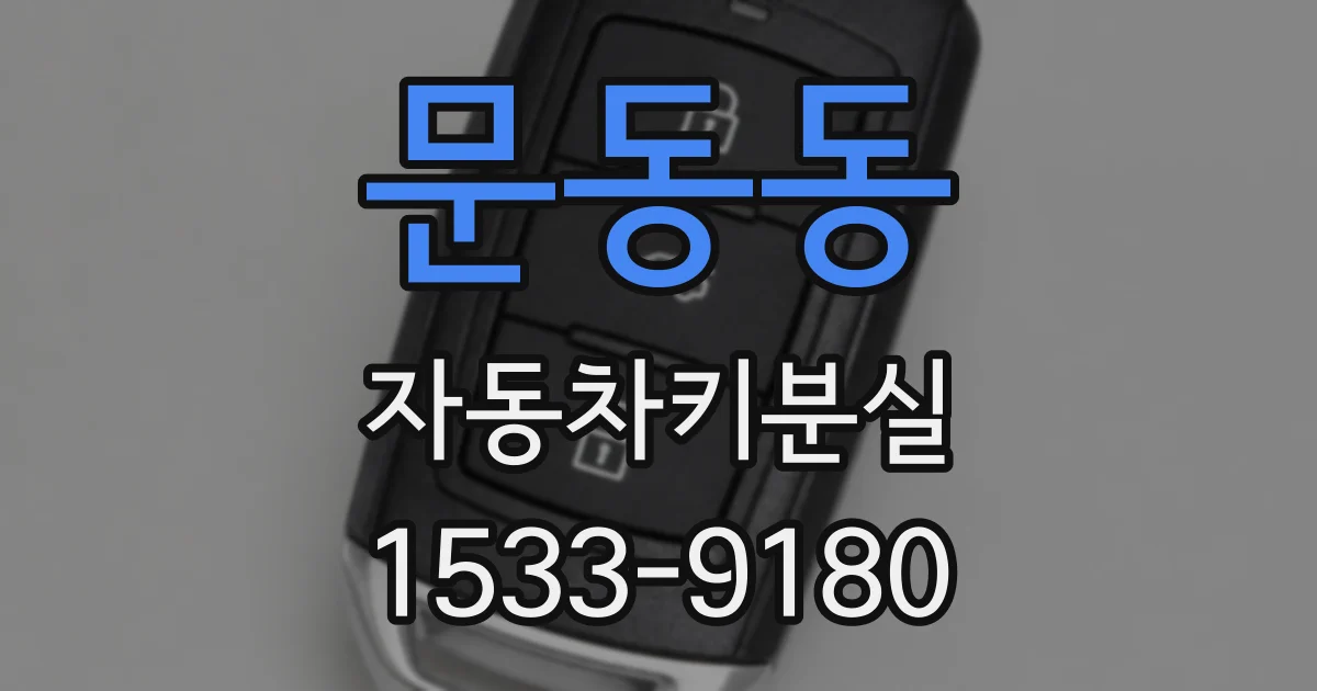 문동동 자동차키분실