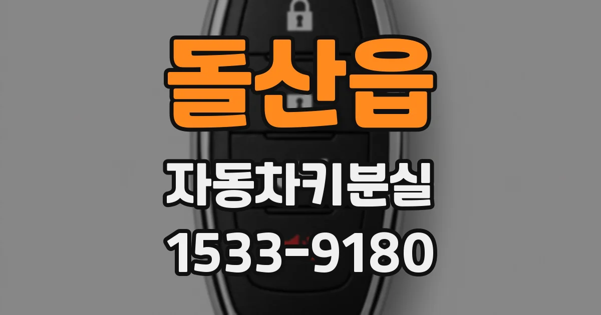 돌산읍 자동차키분실
