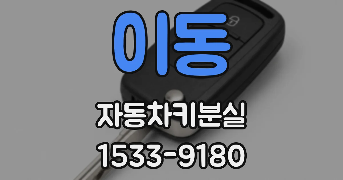 이동 자동차키분실