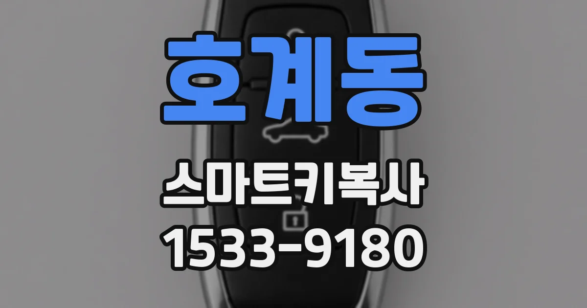 호계동 스마트키복사