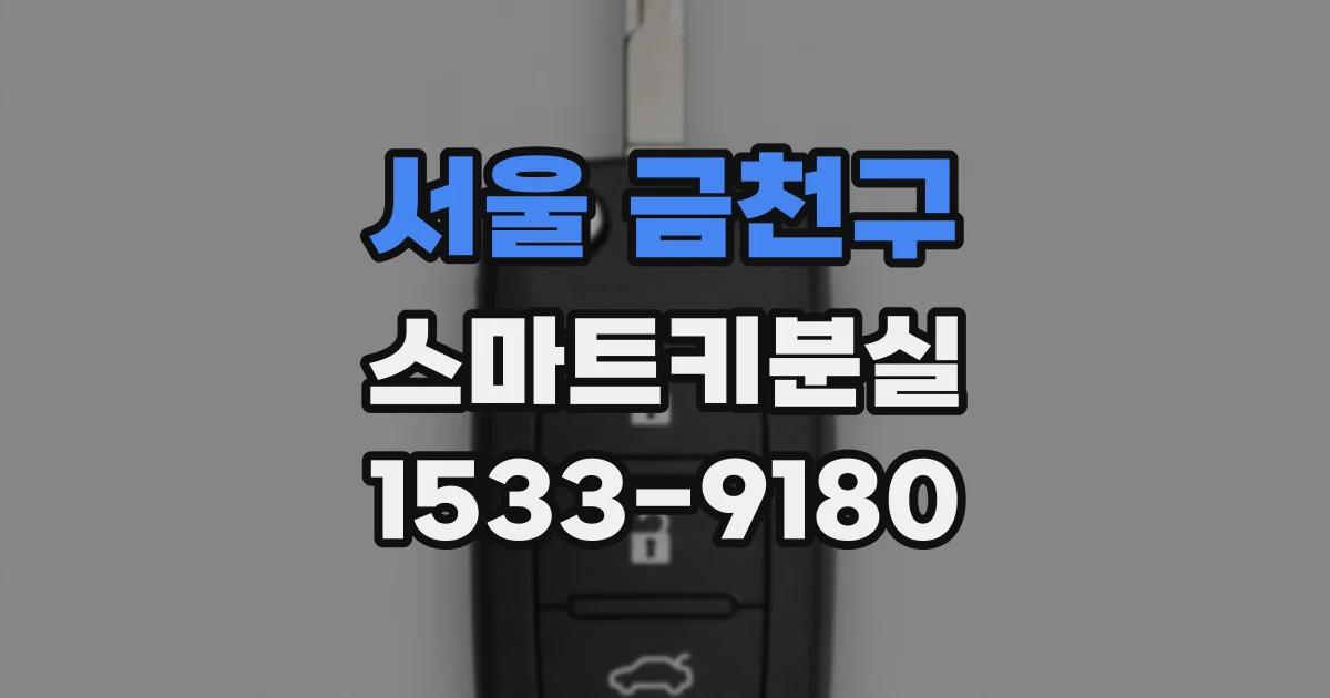 서울 금천구 스마트키분실