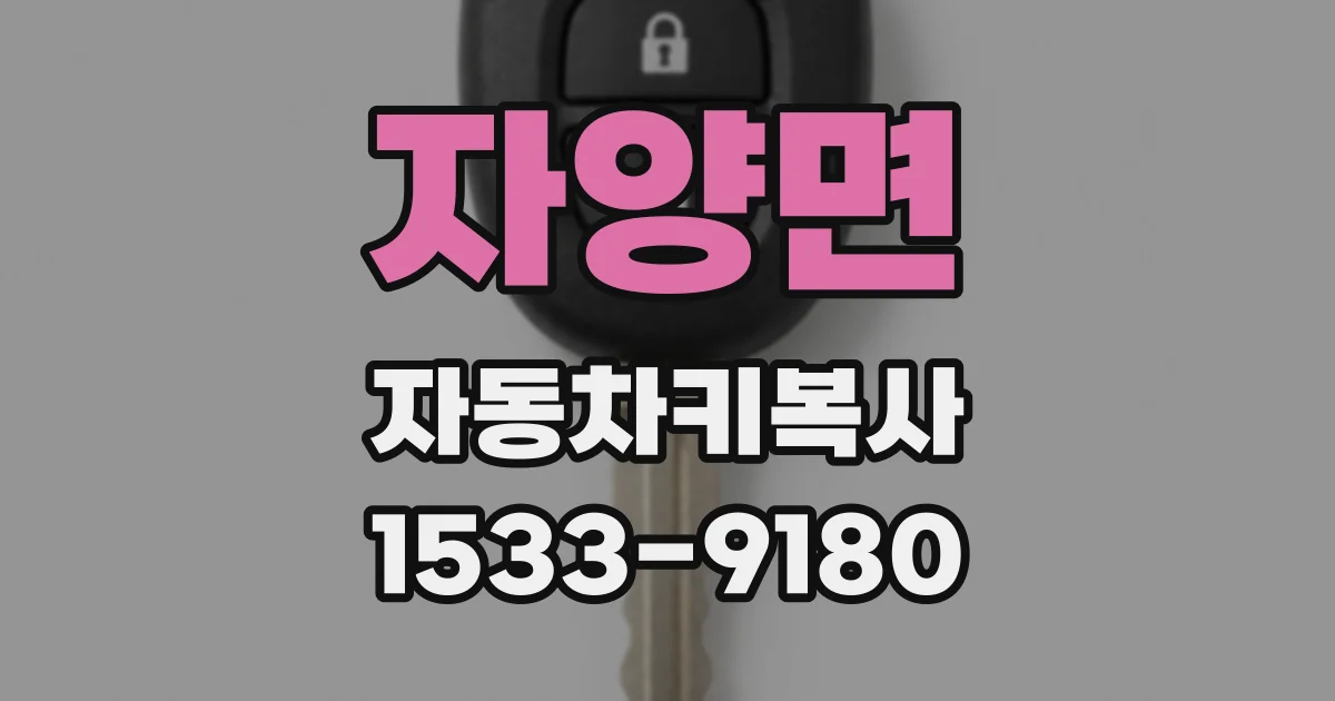 자양면 자동차키복사