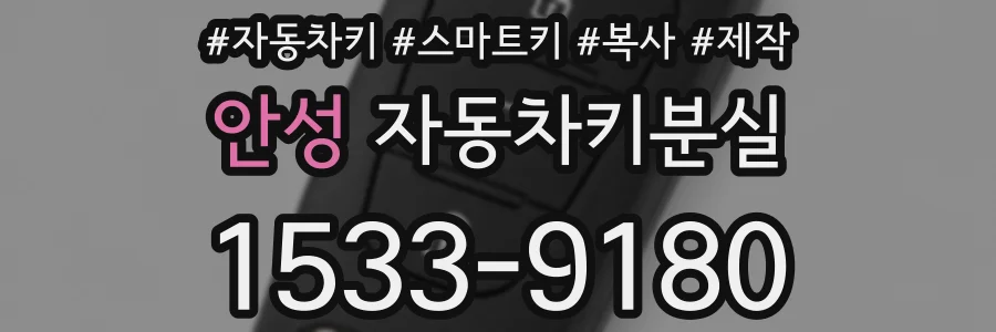 안성 자동차키분실