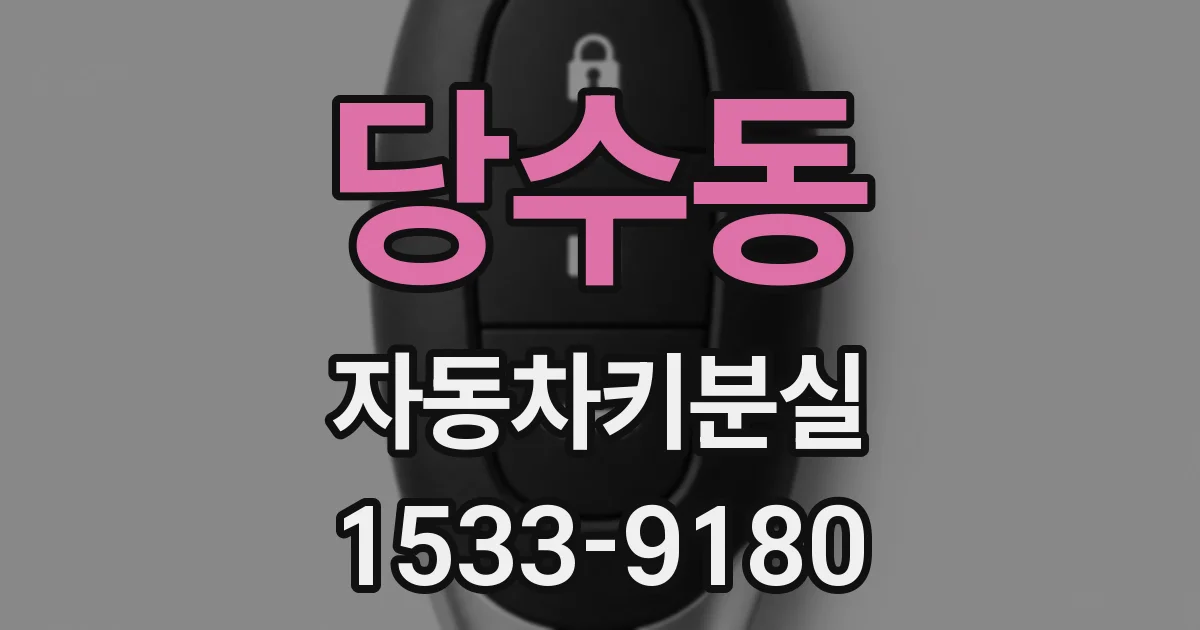 당수동 자동차키분실