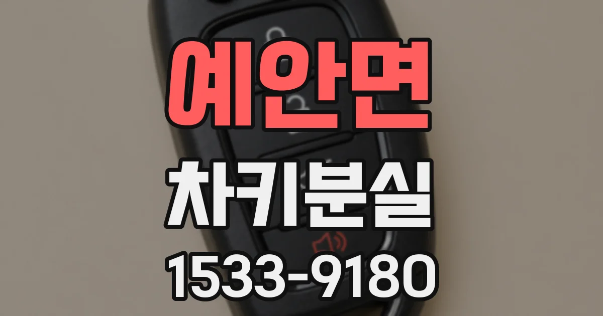 예안면 차키분실