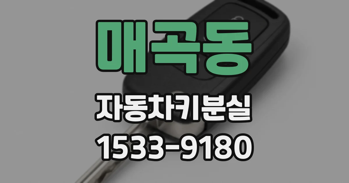 매곡동 자동차키분실