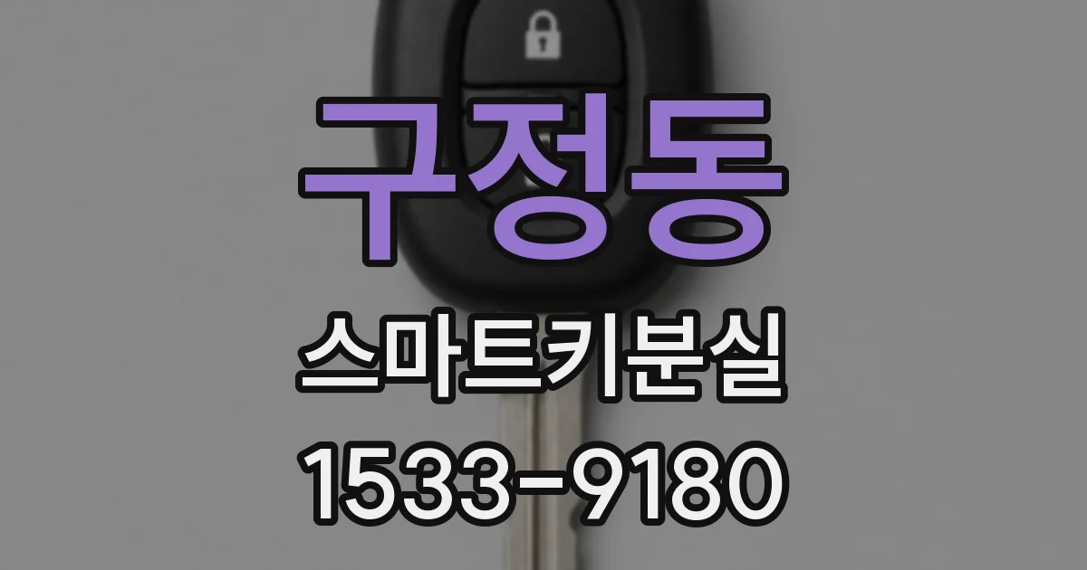 구정동 스마트키분실