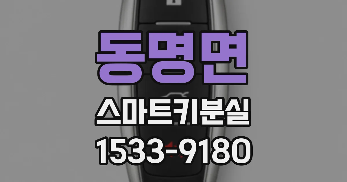 동명면 스마트키분실