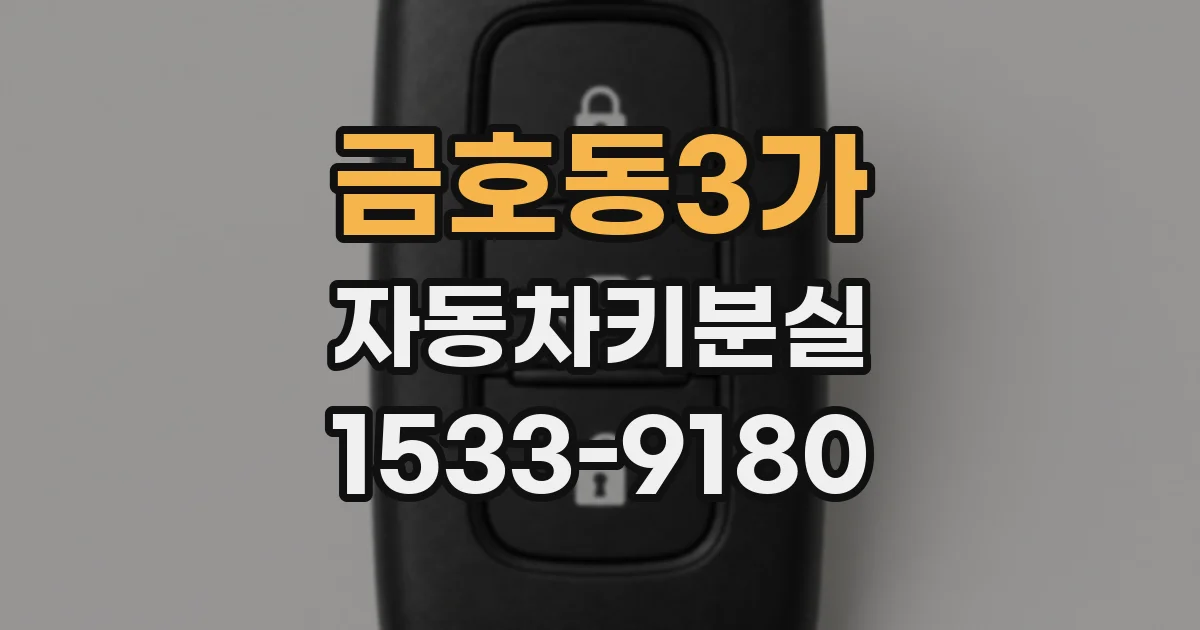 금호동3가 자동차키분실