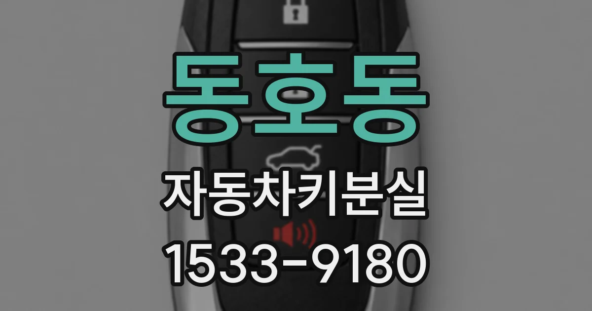 동호동 자동차키분실