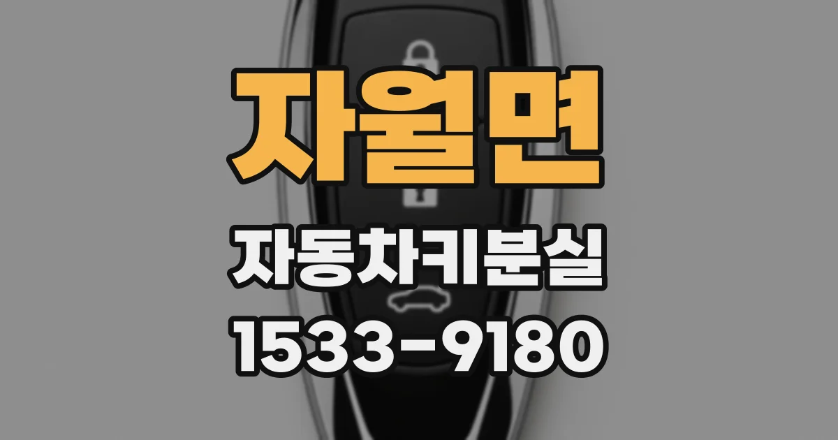 자월면 자동차키분실
