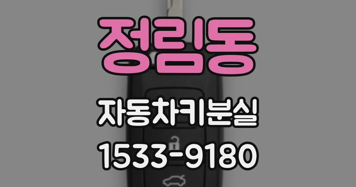 정림동 자동차키분실