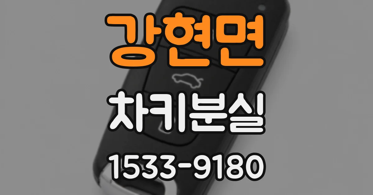강현면 차키분실