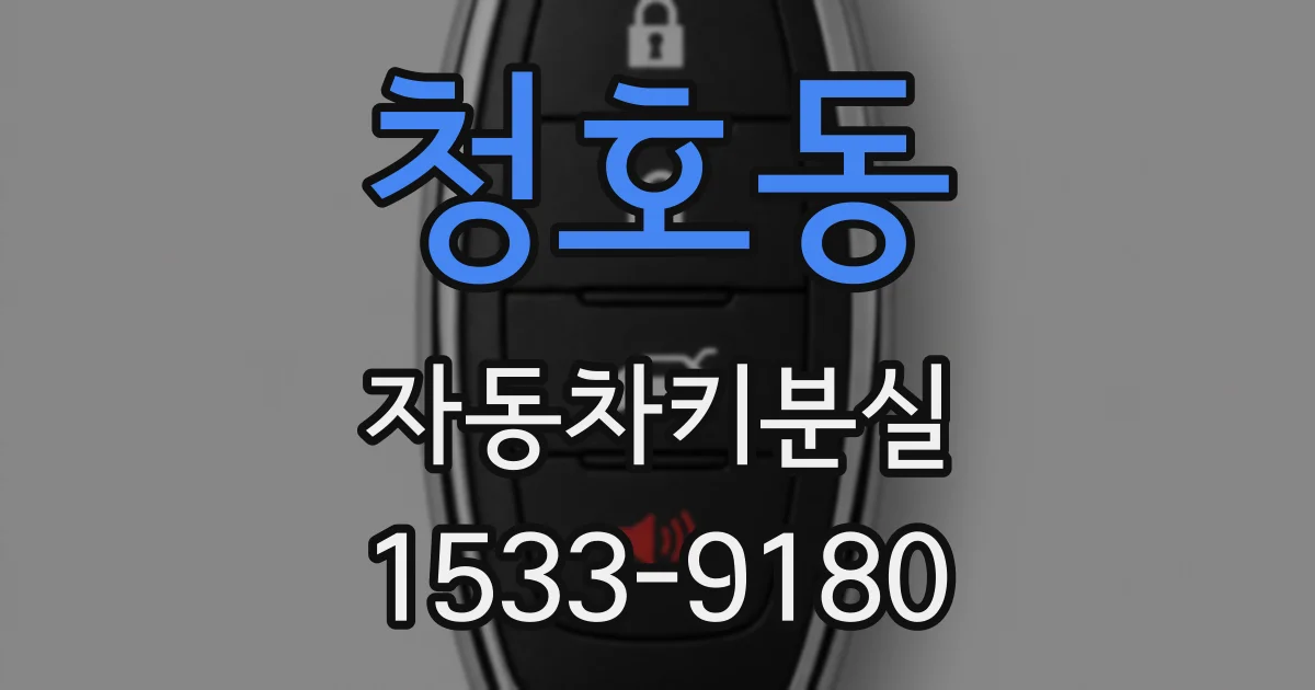 청호동 자동차키분실
