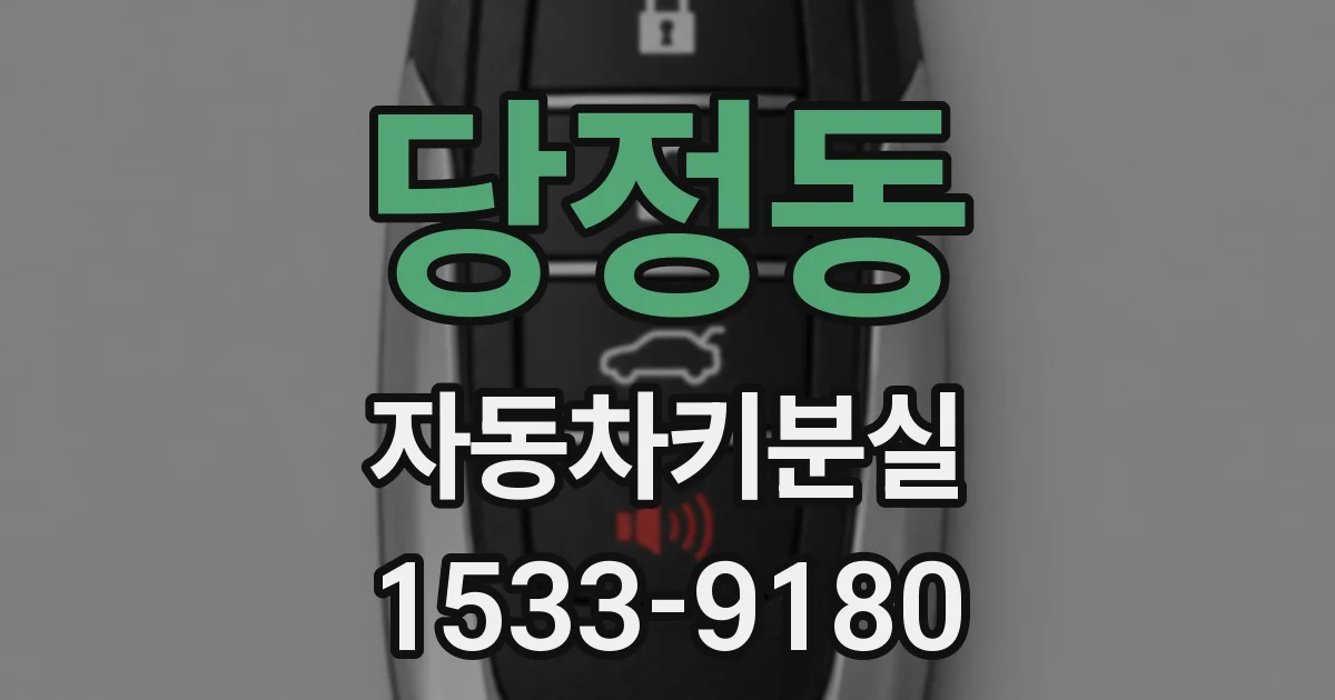 당정동 자동차키분실