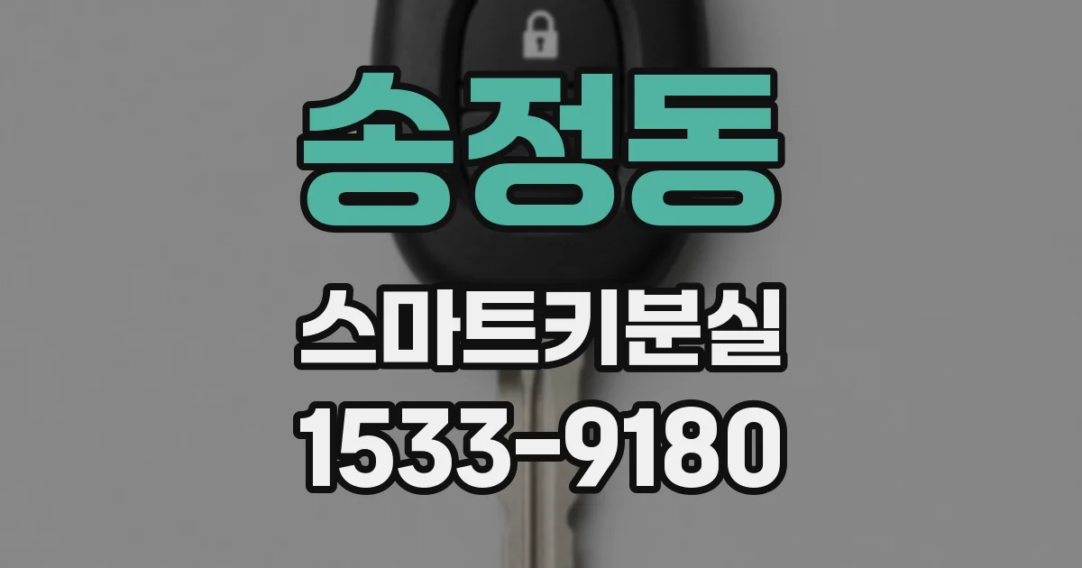 송정동 스마트키분실
