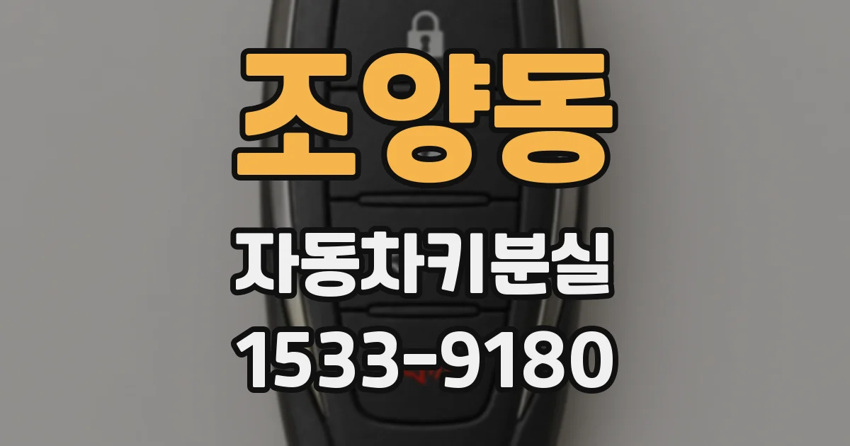 조양동 자동차키분실
