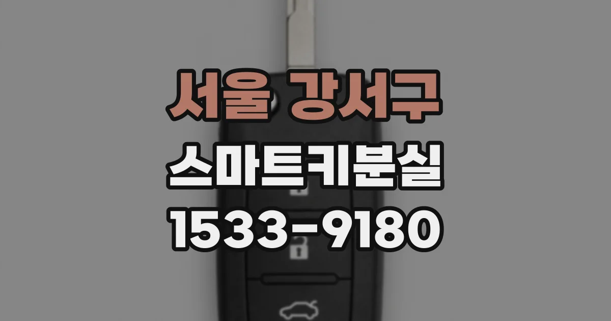 서울 강서구 스마트키분실