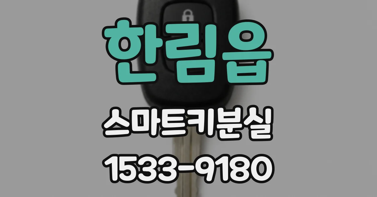 한림읍 스마트키분실