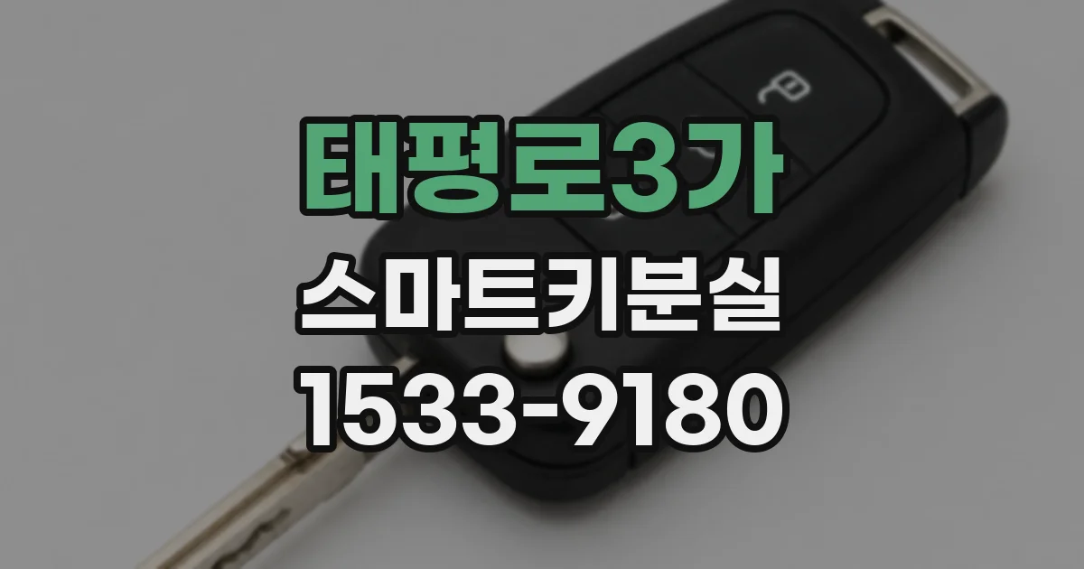 태평로3가 스마트키분실
