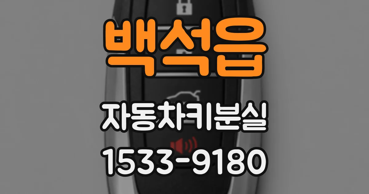 백석읍 자동차키분실