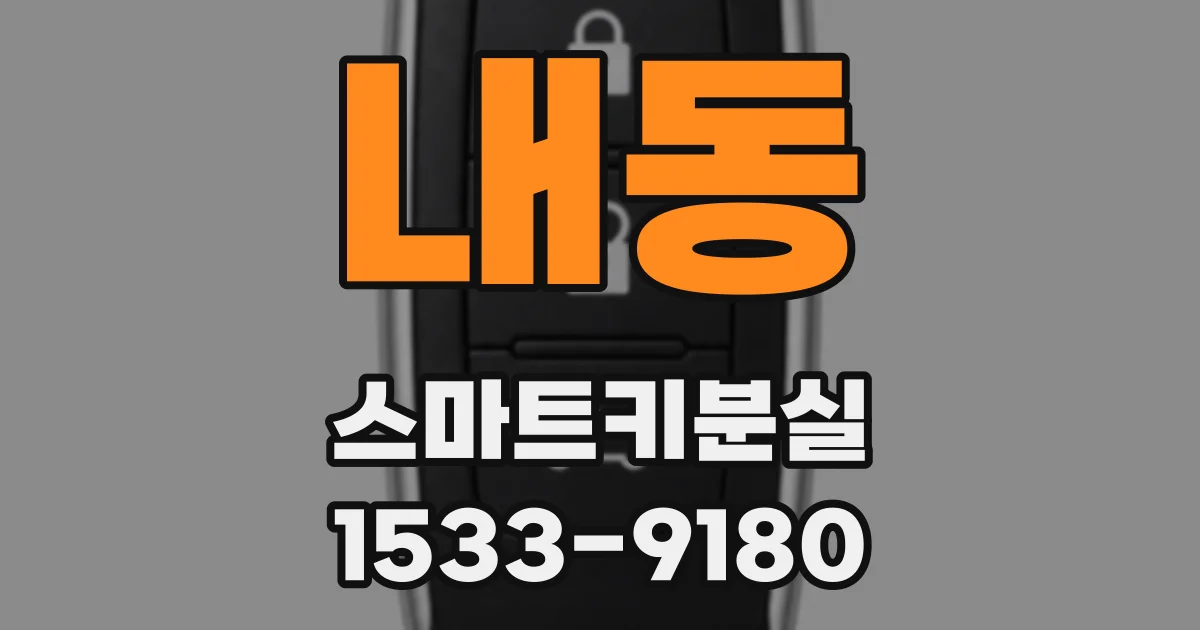 내동 스마트키분실