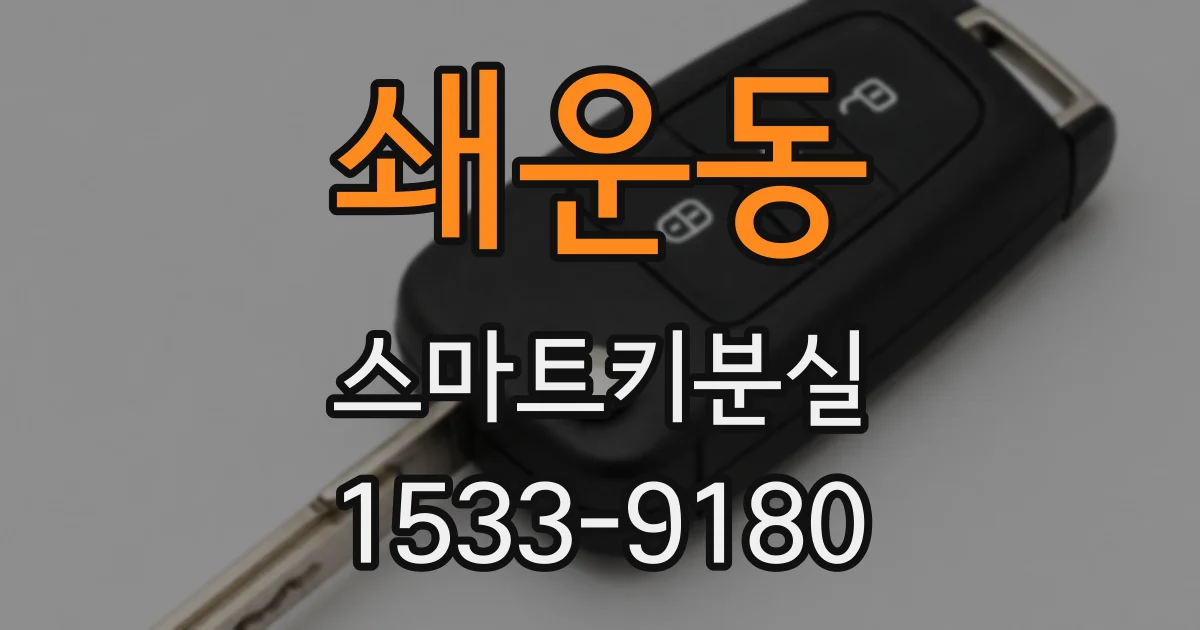 쇄운동 스마트키분실