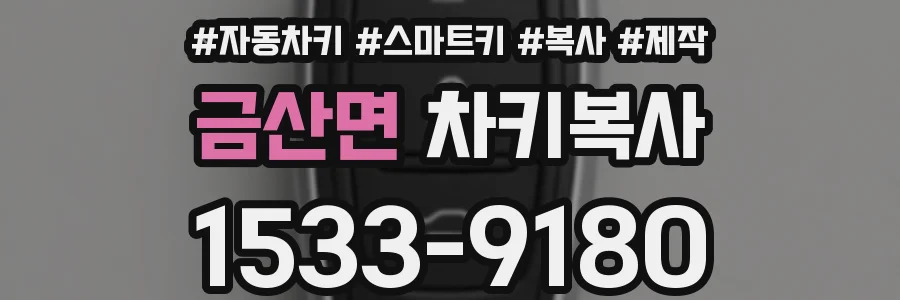 금산면 차키복사