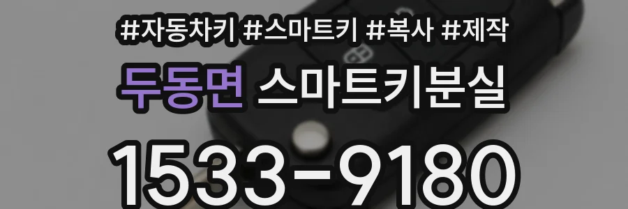 두동면 스마트키분실