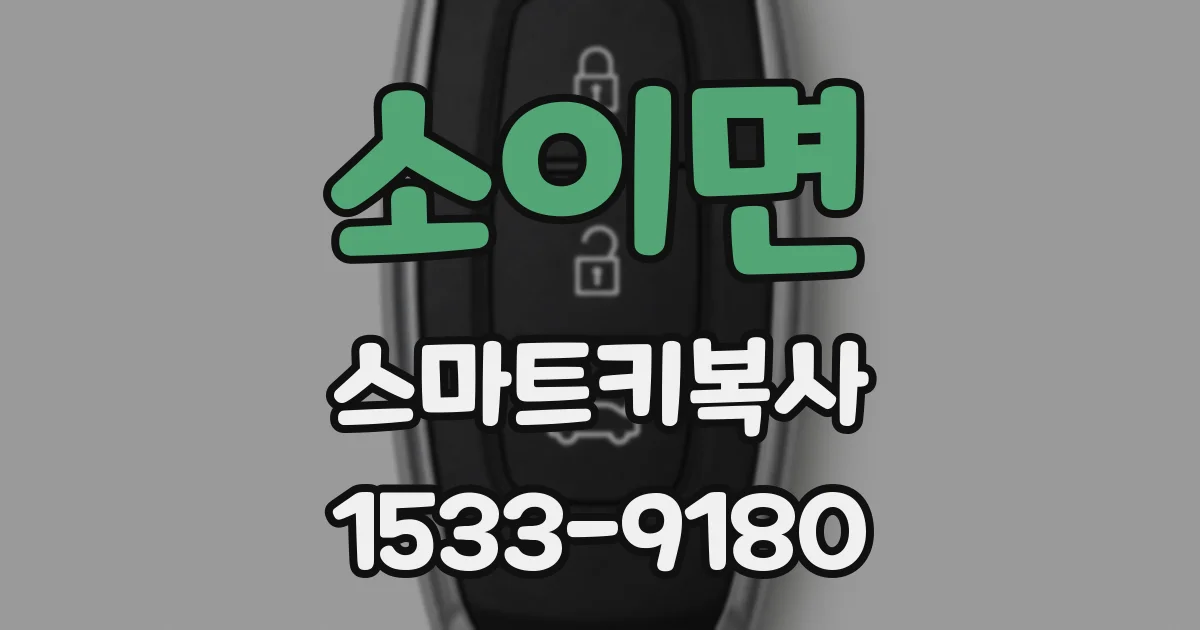 소이면 스마트키복사