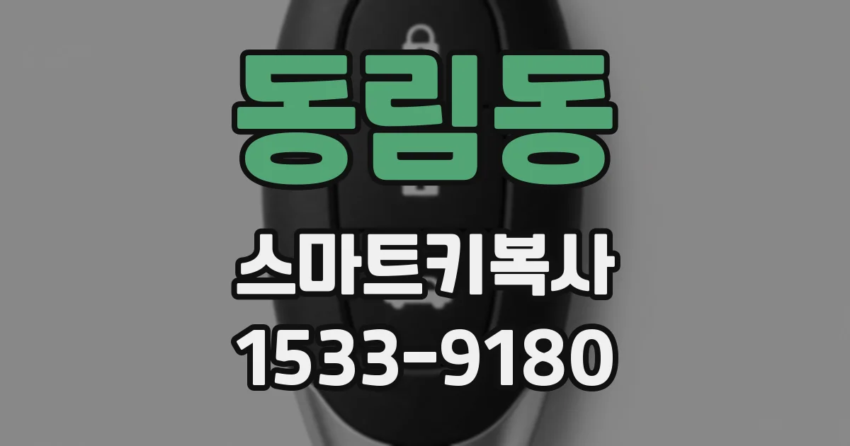 동림동 스마트키복사