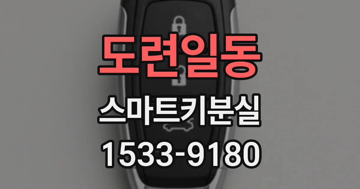 도련일동 스마트키분실