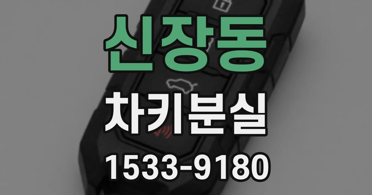 신장동 차키분실